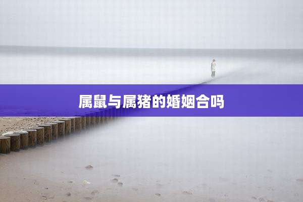 属鼠与属猪的婚姻合吗