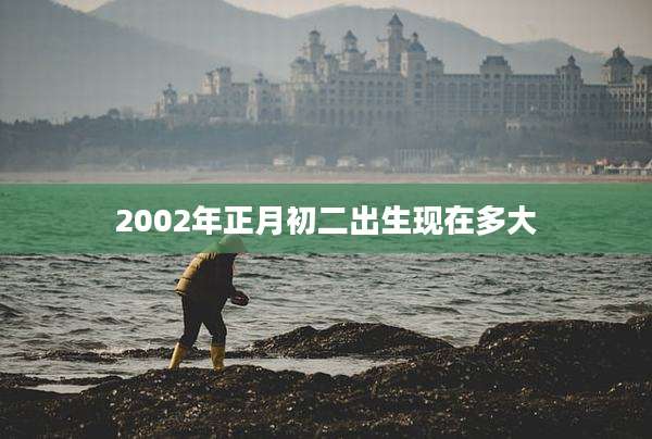 2002年正月初二出生现在多大