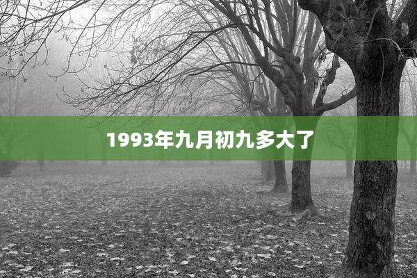 1993年九月初九多大了