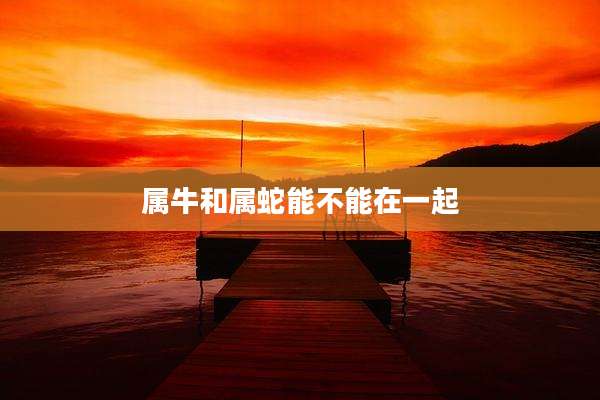 属牛和属蛇能不能在一起
