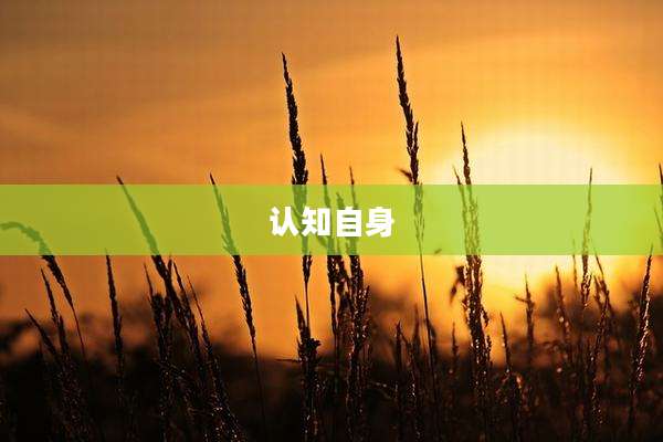 认知自身
