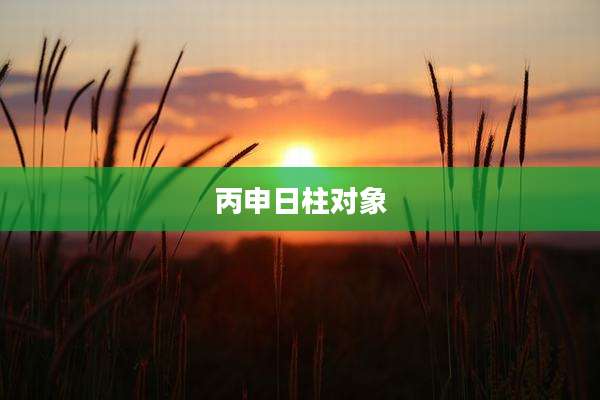 丙申日柱对象
