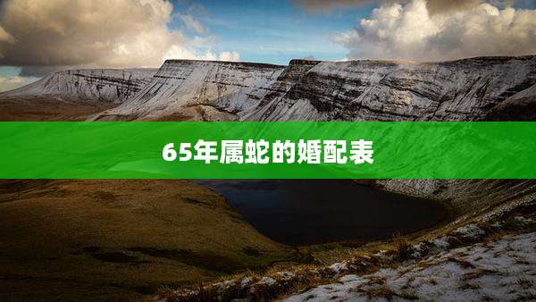 65年属蛇的婚配表