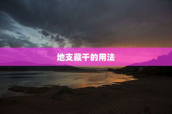 地支藏干的用法
