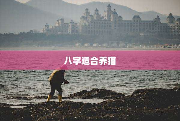 八字适合养猫