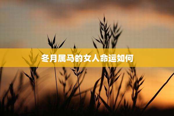 冬月属马的女人命运如何
