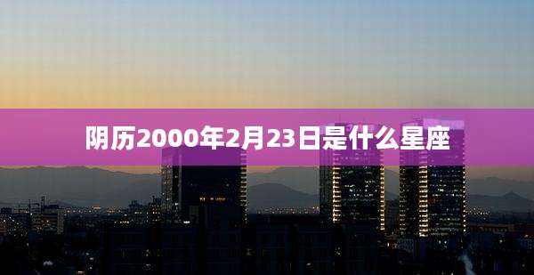 阴历2000年2月23日是什么星座