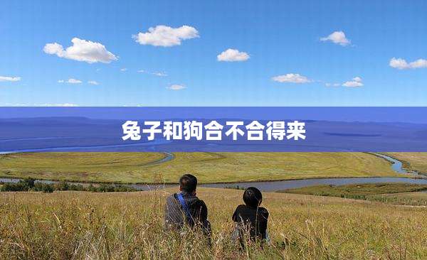 兔子和狗合不合得来