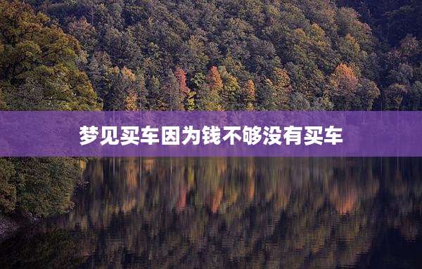 梦见买车因为钱不够没有买车