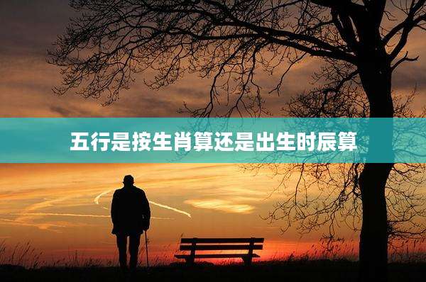 五行是按生肖算还是出生时辰算
