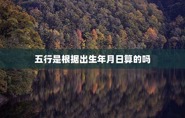 五行是根据出生年月日算的吗