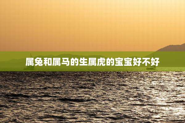 属兔和属马的生属虎的宝宝好不好