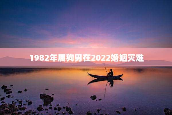 1982年属狗男在2022婚姻灾难