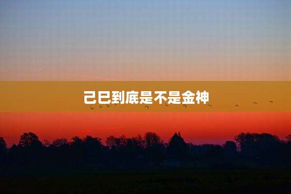己巳到底是不是金神
