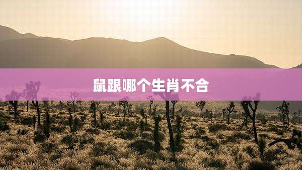 鼠跟哪个生肖不合