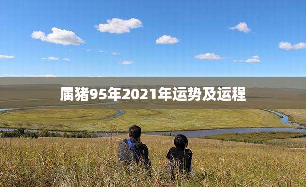 属猪95年2021年运势及运程