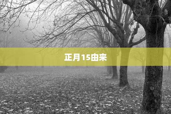 正月15由来