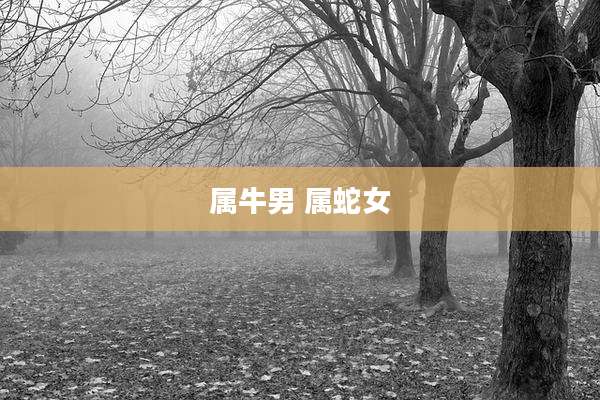 属牛男 属蛇女