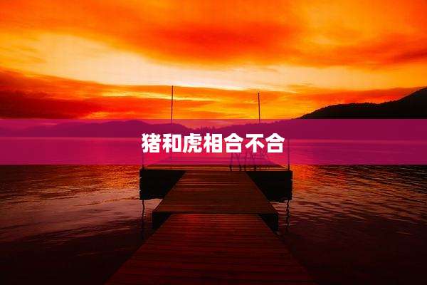 猪和虎相合不合