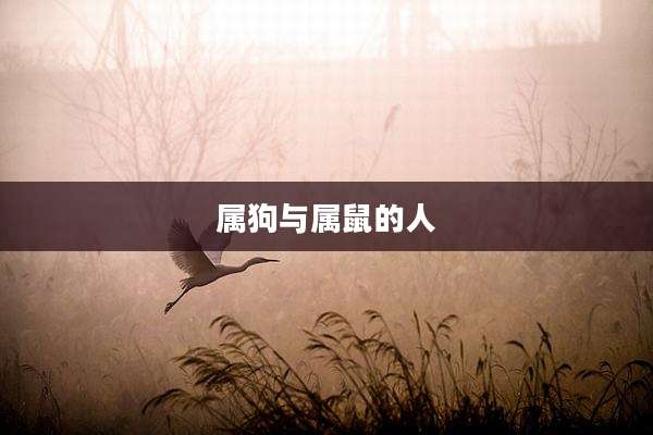 属狗与属鼠的人