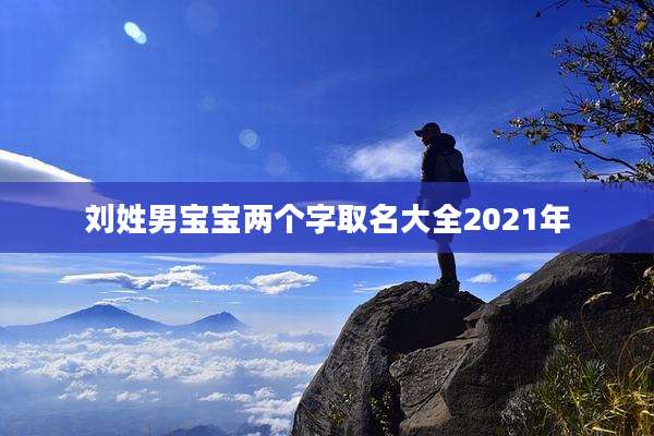 刘姓男宝宝两个字取名大全2021年
