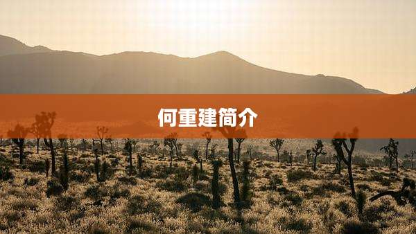 何重建简介