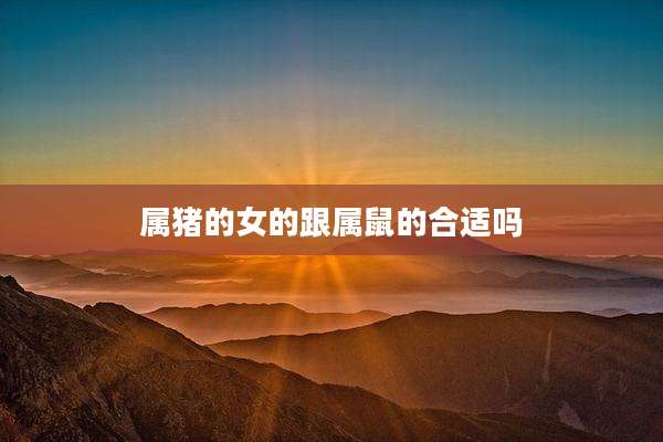 属猪的女的跟属鼠的合适吗