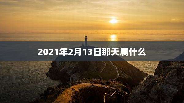 2021年2月13日那天属什么