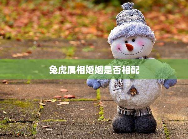 兔虎属相婚姻是否相配