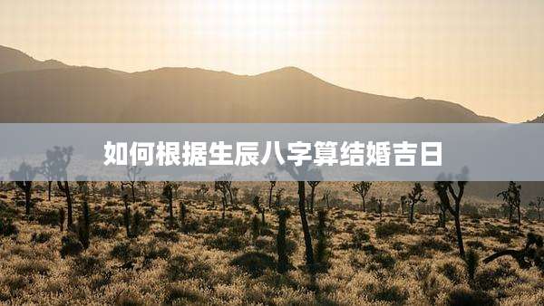 如何根据生辰八字算结婚吉日