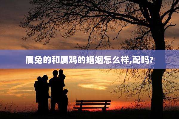 属兔的和属鸡的婚姻怎么样,配吗?