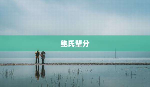 鲍氏辈分