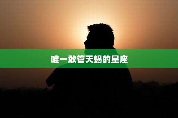 唯一敢管天蝎的星座