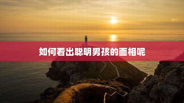 如何看出聪明男孩的面相呢