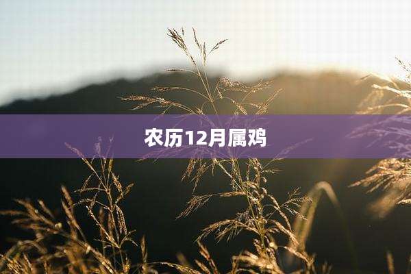 农历12月属鸡