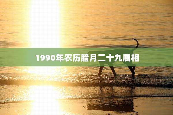 1990年农历腊月二十九属相