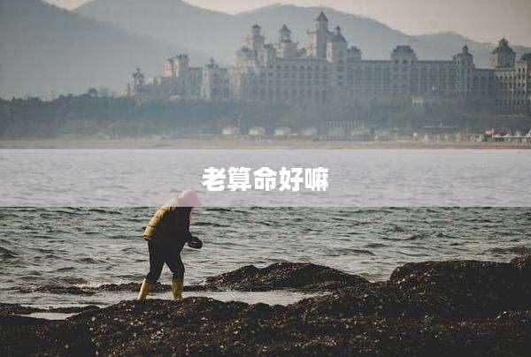 老算命好嘛