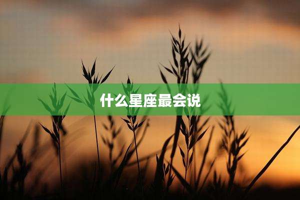 什么星座最会说
