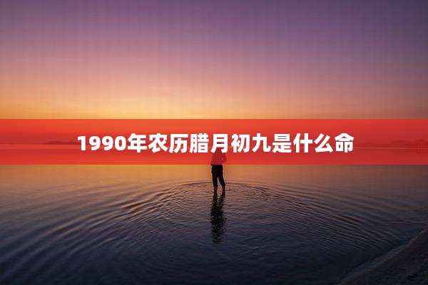 1990年农历腊月初九是什么命
