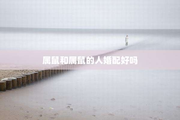 属鼠和属鼠的人婚配好吗