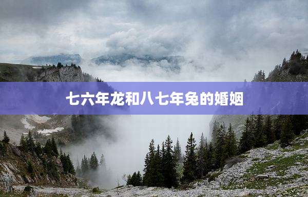 七六年龙和八七年兔的婚姻