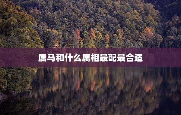 属马和什么属相最配最合适
