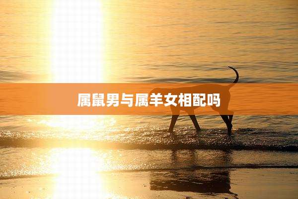 属鼠男与属羊女相配吗