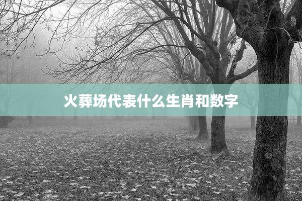 火葬场代表什么生肖和数字