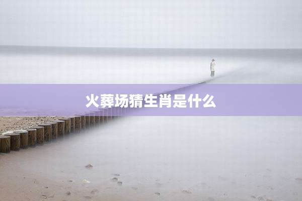 火葬场猜生肖是什么