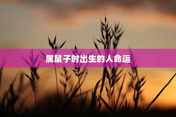 属鼠子时出生的人命运