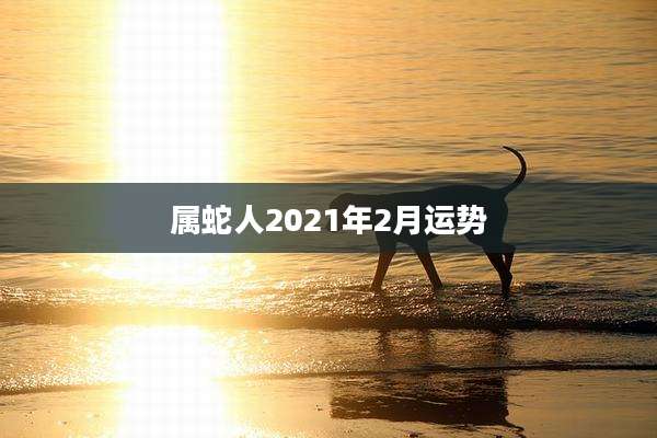 属蛇人2021年2月运势
