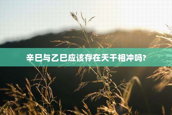 辛巳与乙巳应该存在天干相冲吗?