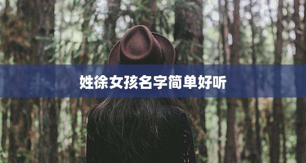 姓徐女孩名字简单好听
