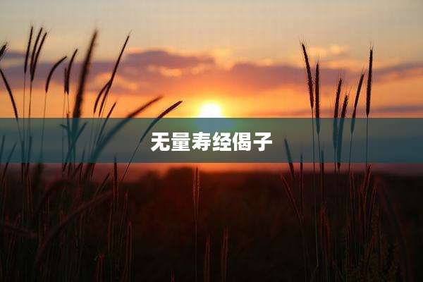 无量寿经偈子